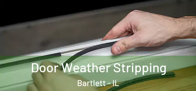 Door Weather Stripping Bartlett - IL