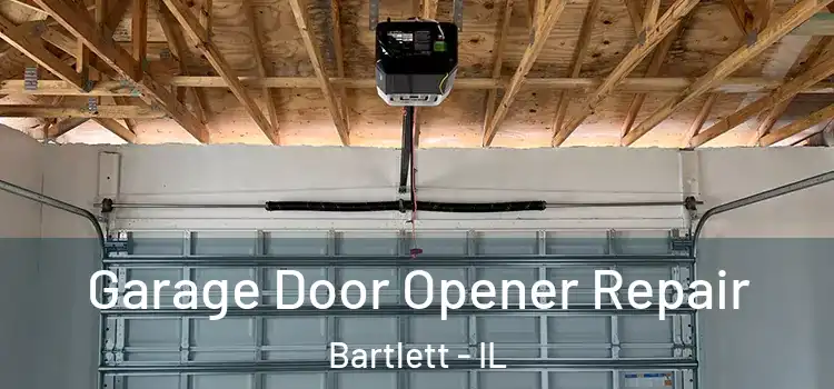  Garage Door Opener Repair Bartlett - IL