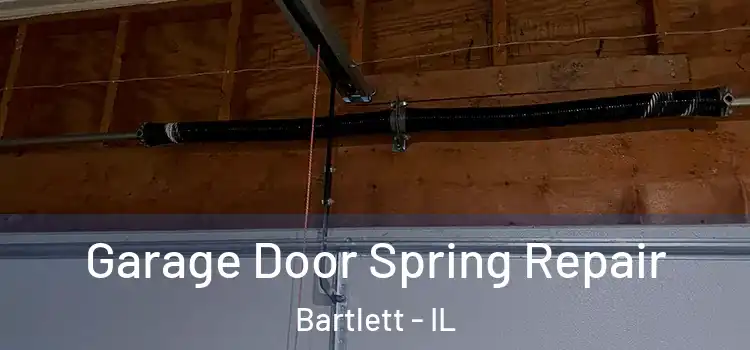  Garage Door Spring Repair Bartlett - IL