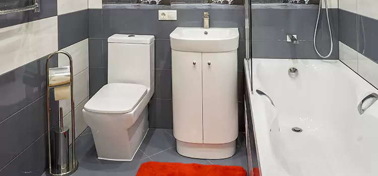 Hansgrohe Shaving Mirror Bartlett