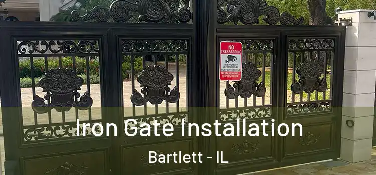 Iron Gate Installation Bartlett - IL