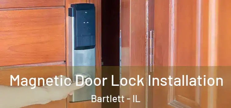  Magnetic Door Lock Installation Bartlett - IL