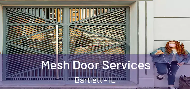 Mesh Door Services Bartlett - IL