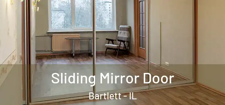  Sliding Mirror Door Bartlett - IL